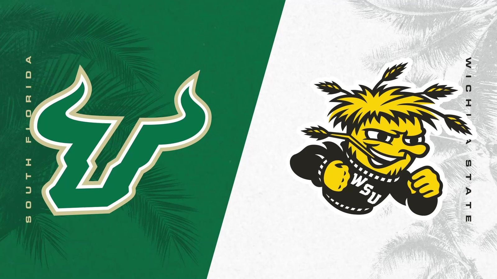 University of South Florida