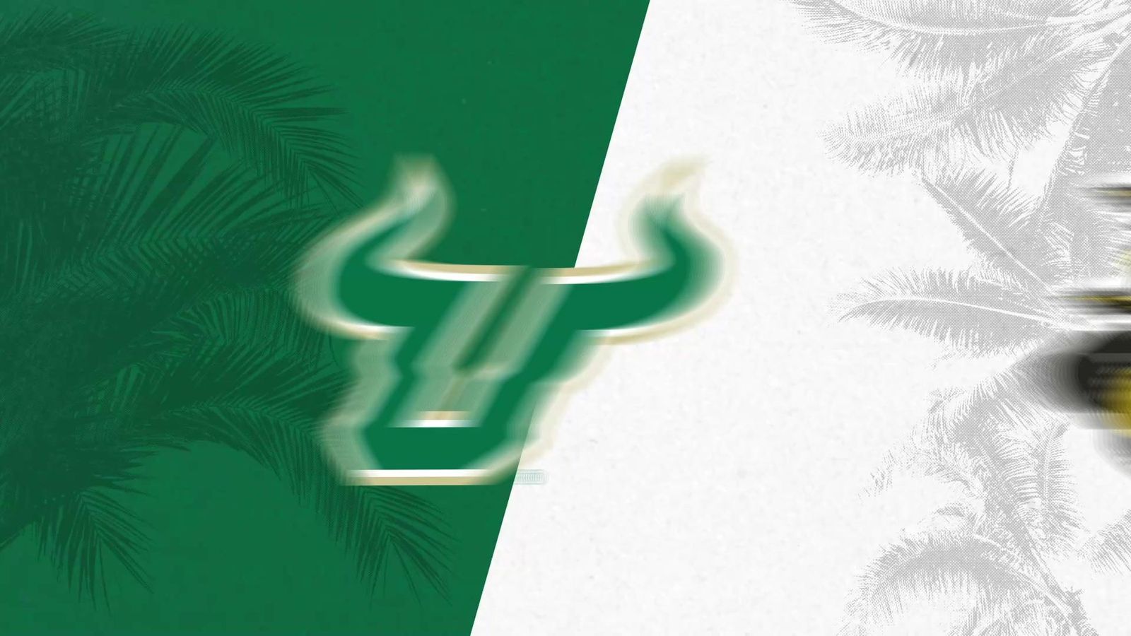 University of South Florida &mdash; graphic 2