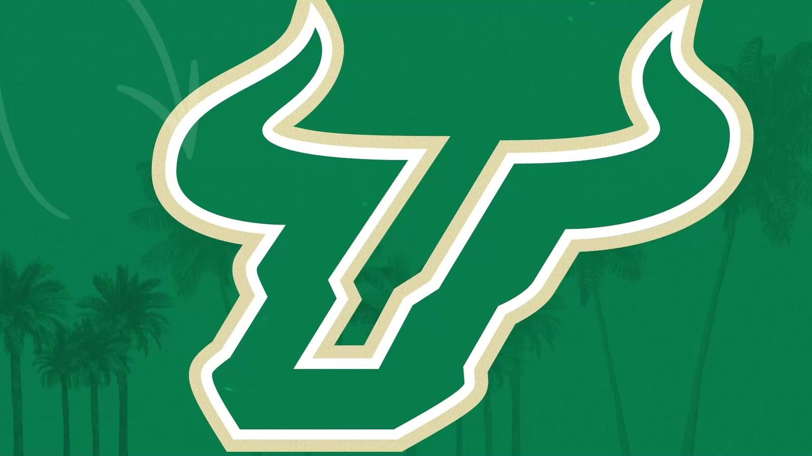University of South Florida &mdash; graphic 3
