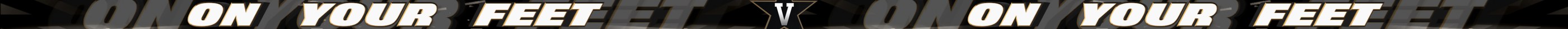 Vanderbilt University — graphic 3